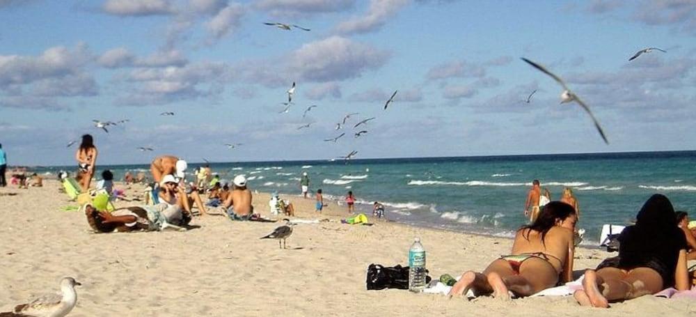 Bikini Hostel, Cafe & Beer Garden (Adults Only) Miami Beach Eksteriør billede